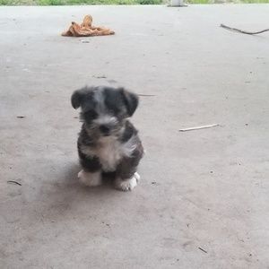 Meet your Posher, Cristal